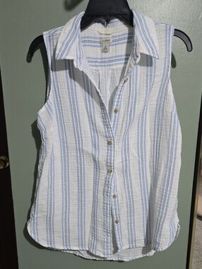 L.L. Bean Sleeveless Button-Front Stripe Shirt in White and Light Blue